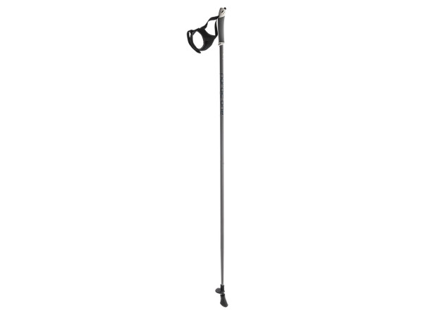 Whiteblaze Nordic Walking Stock Nordic One anthrazit