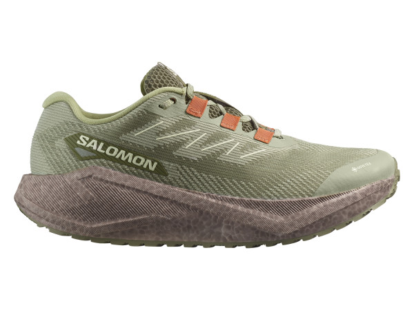 Salomon Herren Gravel-Laufschuh Aero Blaze 3 GRVL GTX tea/iron