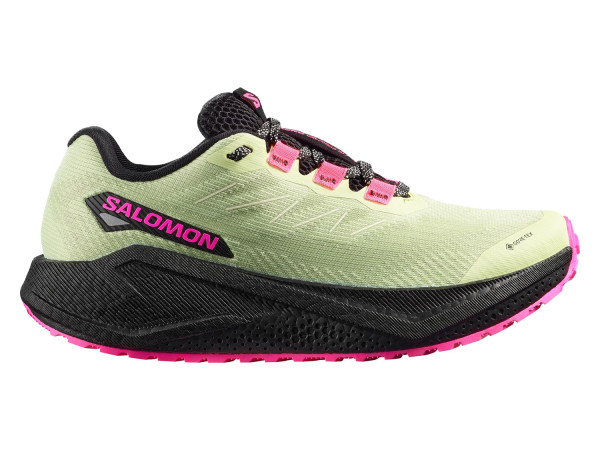 Salomon Damen Gravel-Laufschuh Aero Blaze 3 GTX W butterfly