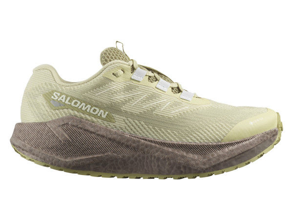 Salomon Damen Gravel-Laufschuh Aero Blaze 3 GTX green haze
