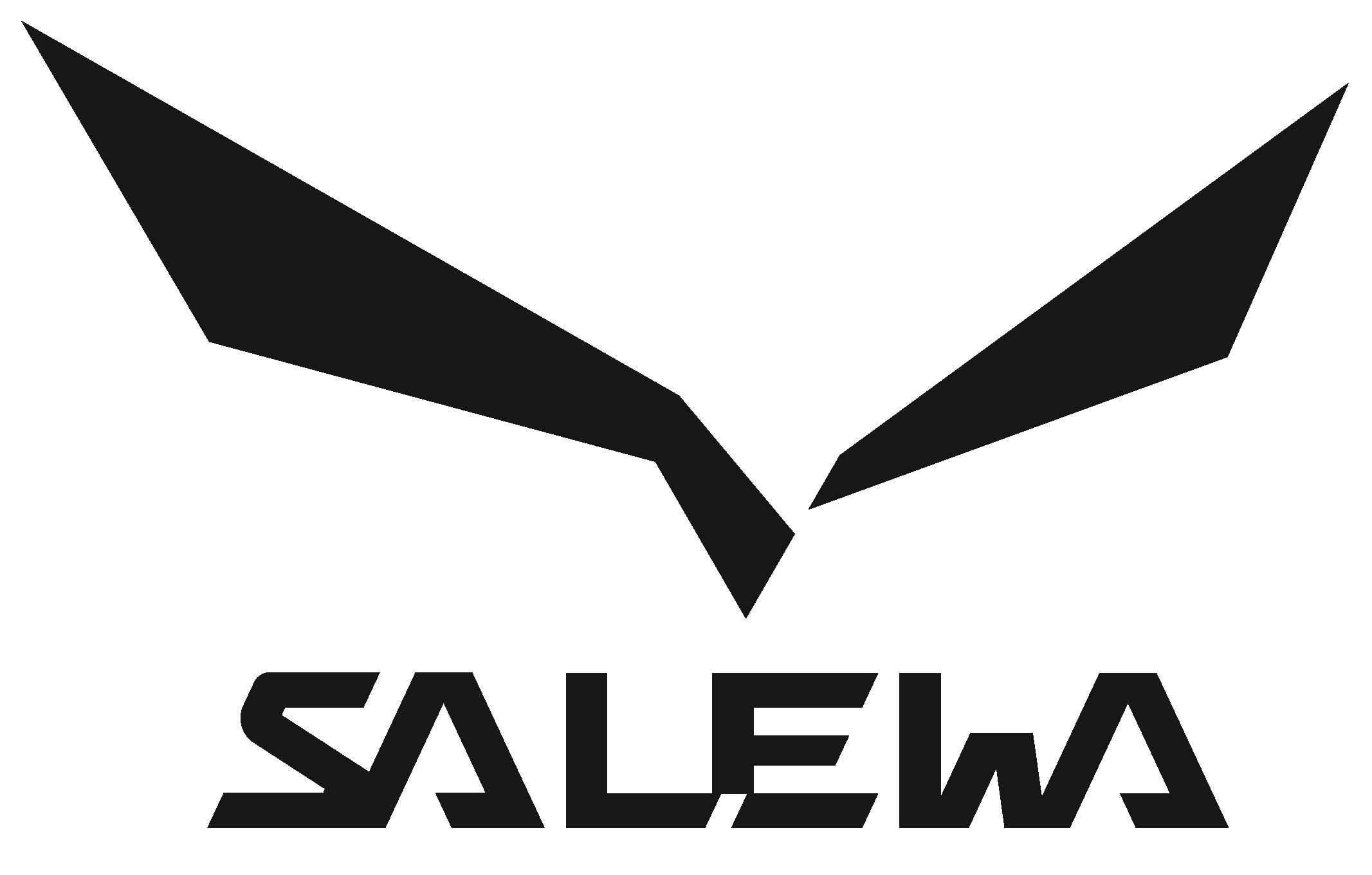 Salewa