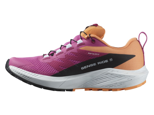 Salomon Damen Trail-Running Schuh Sense Ride 5 GTX rose